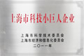 Shanghai Little Giant of Science and Technology